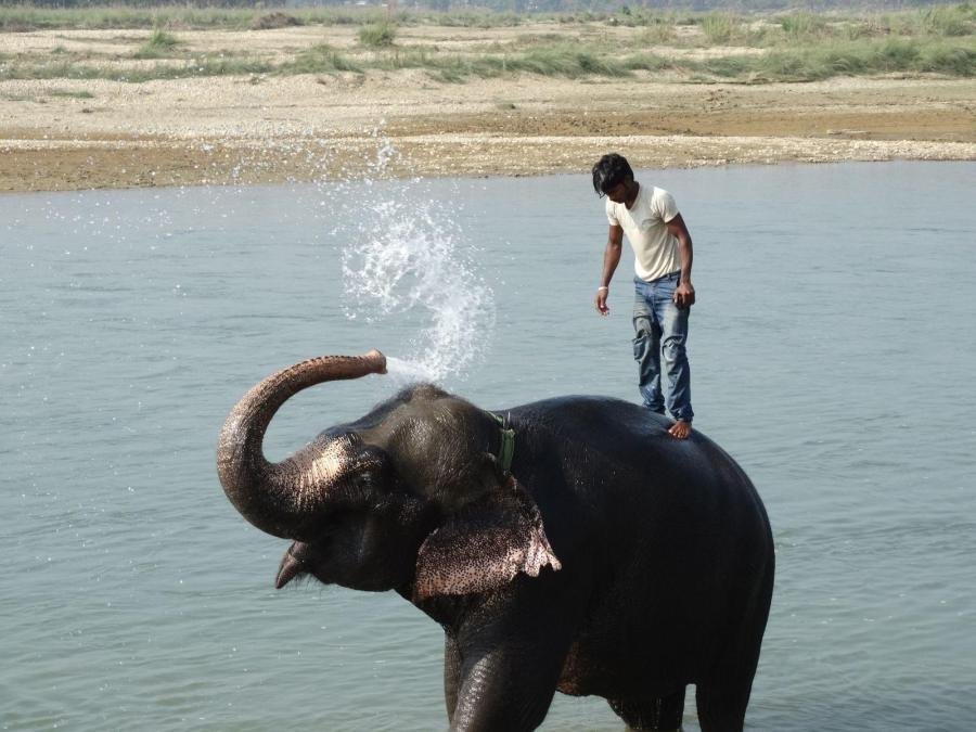 Chitwan Jungle Safari